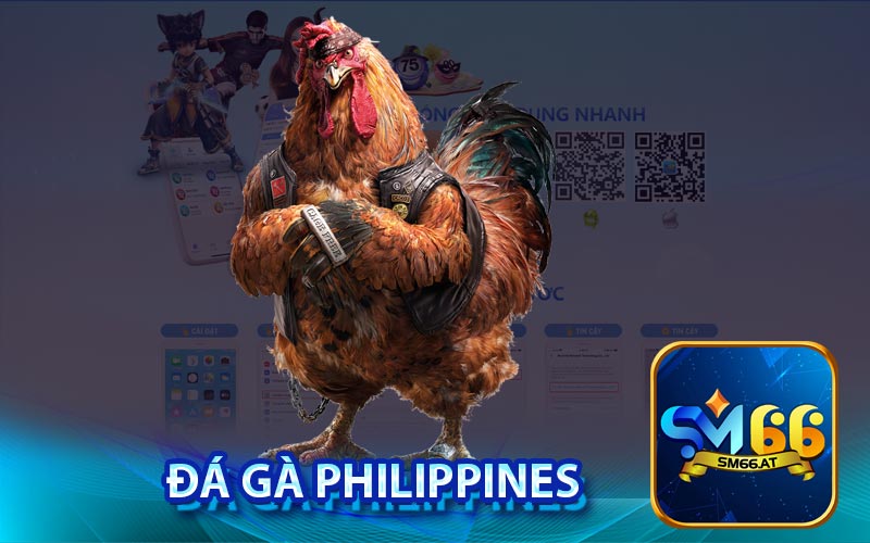 Đá gà Philippines